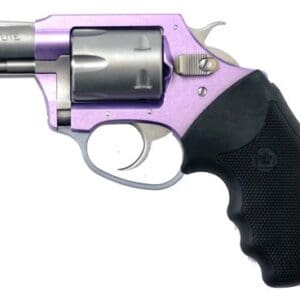 CHARTER ARMS LAVENDER LADY - 22LR 2" LAVENDER/SS