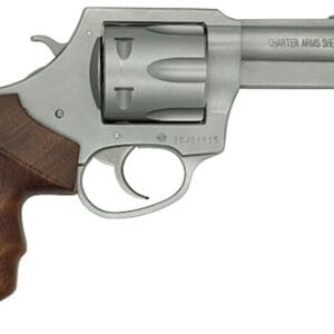 CHARTER ARMS PROFESSIONAL V - 357 MAG 3" S/S WALNUT